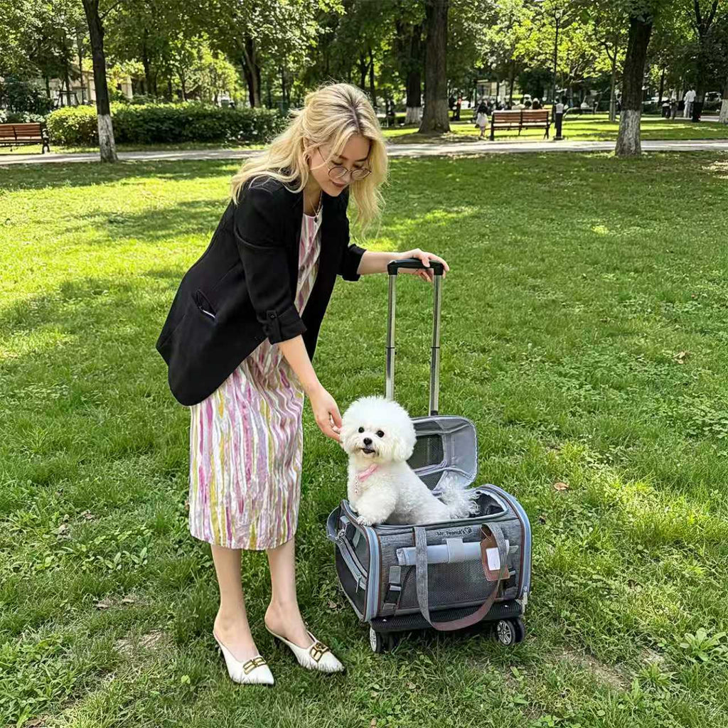 Mr. Peanut's Gold Series Mini V3.0 Expandable Pet Carrier