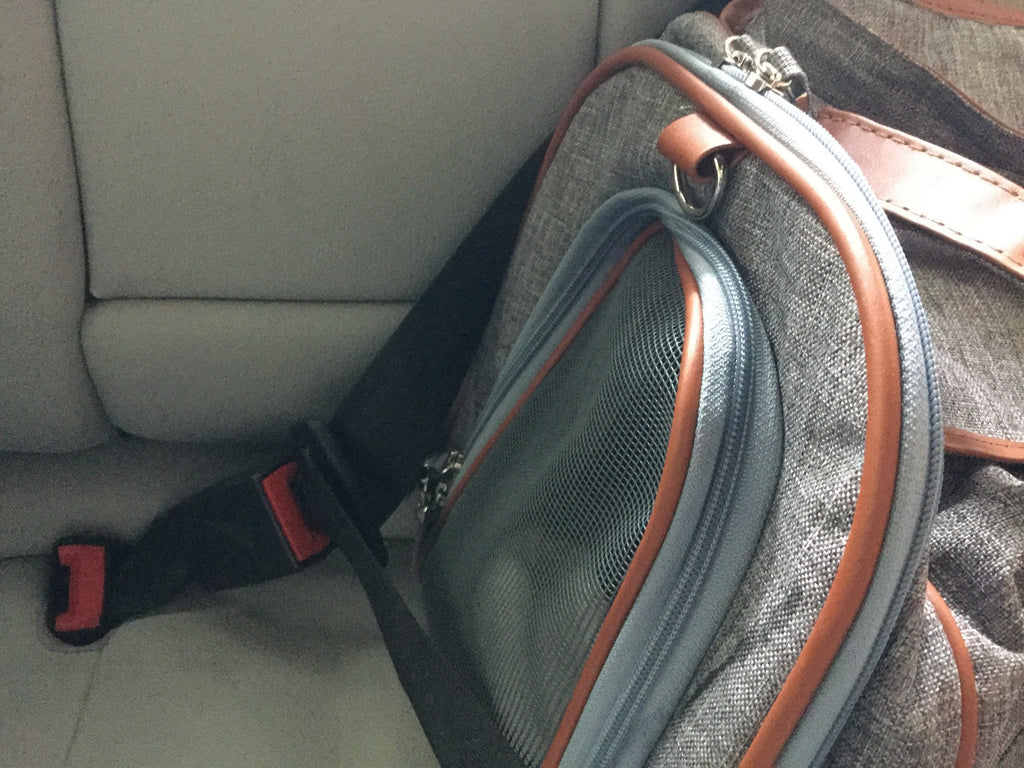 Mr. Peanut's Gold Series Big Apple XL Expandable Pet Carrier V3.0
