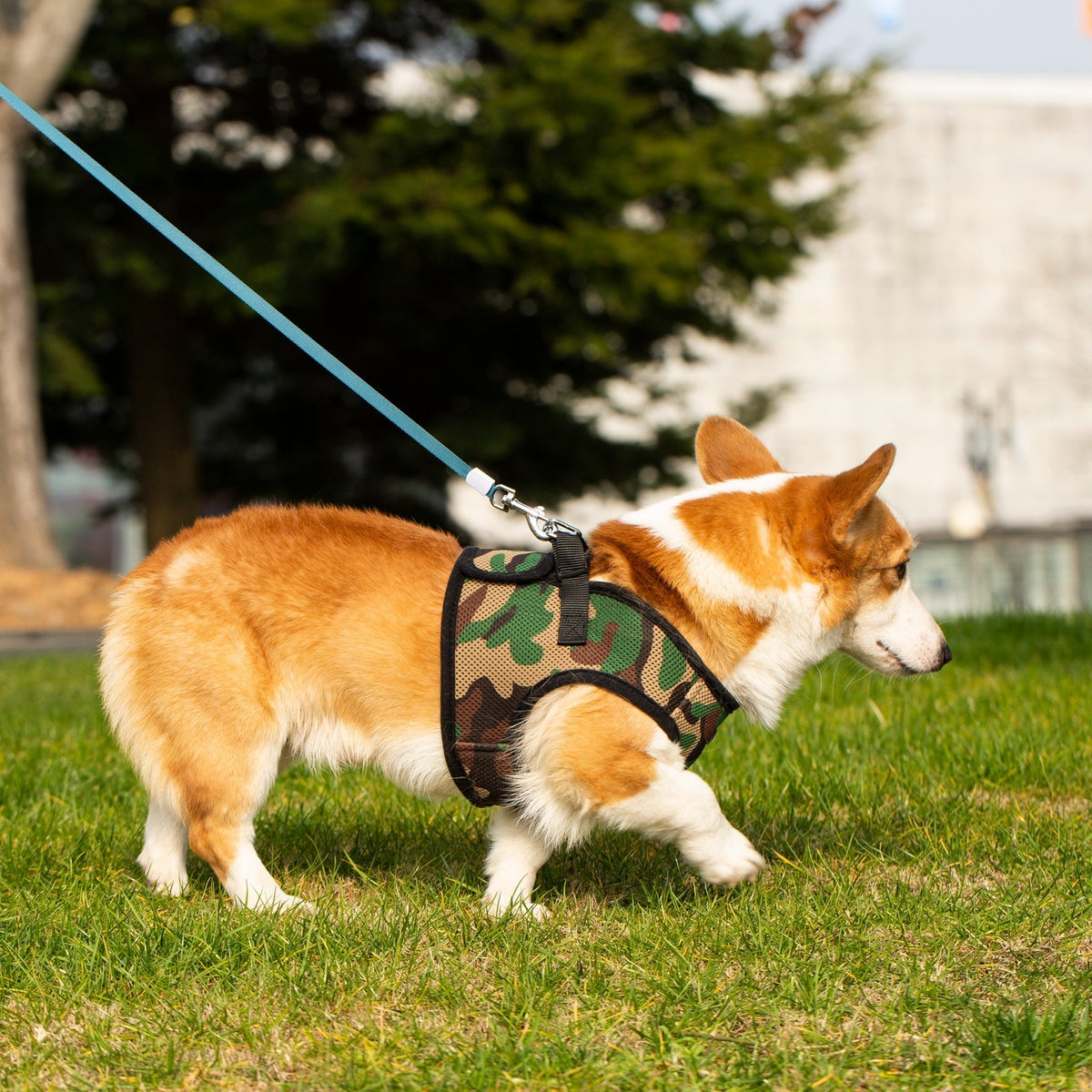 Mr. Peanut's PupTrek Soft Mesh Pet Harness with Matching Leash – Adjustable, Breathable, Choke-Free